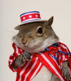 10ff4241aa3768dcefcbe61598db19b0